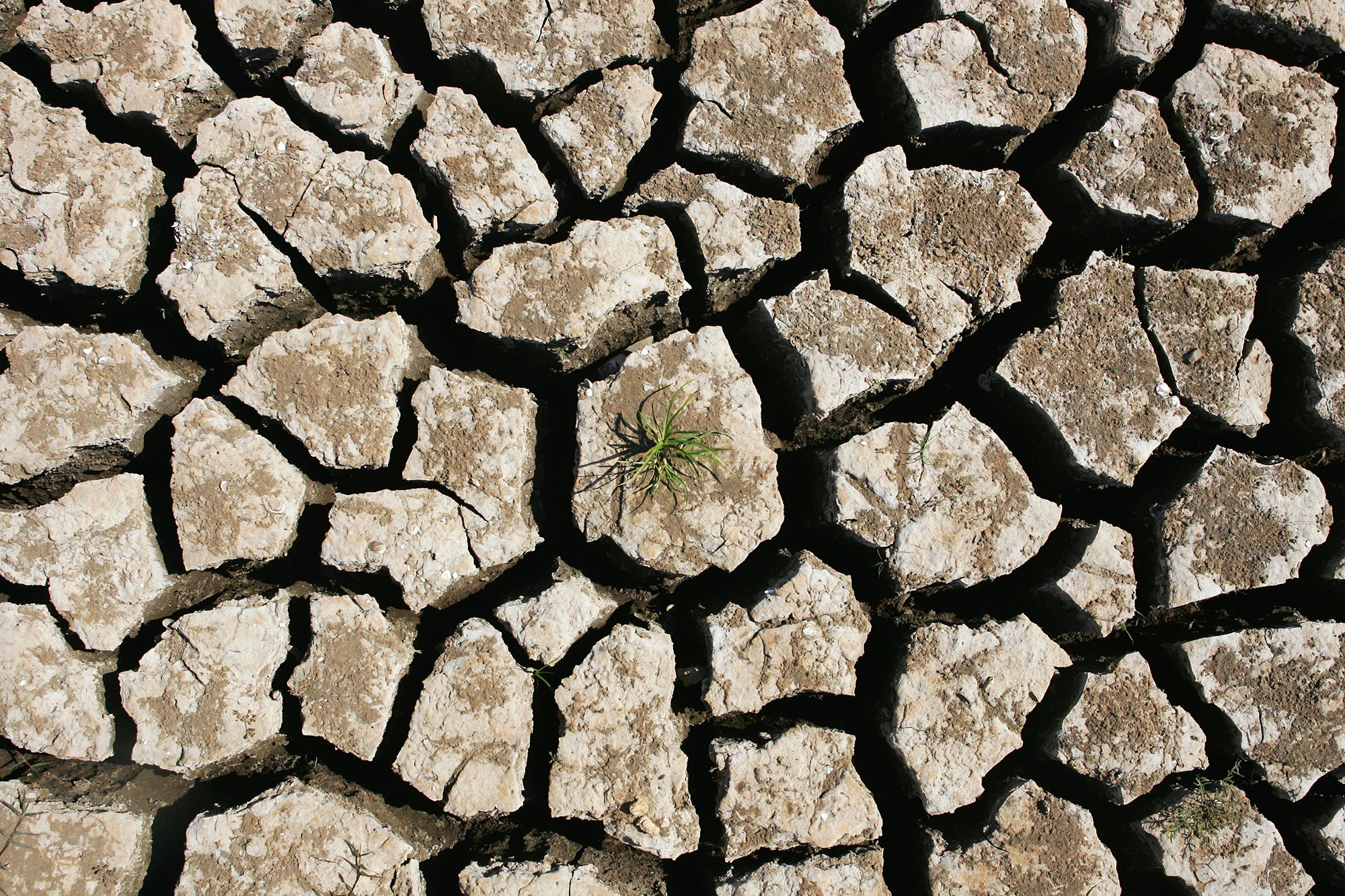 Названо головні кліматичні небезпеки для України, які можуть призвести до апокаліпсиса